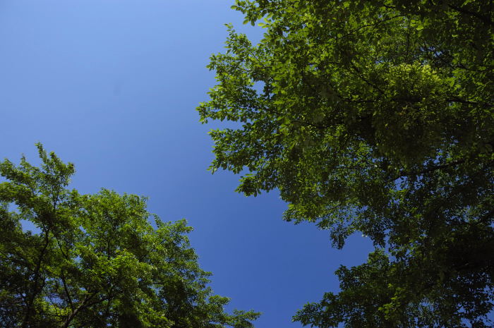 [blue+sky.JPG]
