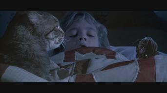 Cats Eye Movie