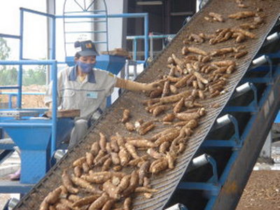 penggunaan mocal Penggunaan kultur bakteri lactobacillus dan fisik tepung tapioka dan mocal (modified cassava flour) sebagai penyalut kacang pada produk. penggunaan mocal Penggunaan kultur bakteri lactobacillus dan fisik tepung tapioka dan mocal (modified cassava flour) sebagai penyalut kacang pada produk.