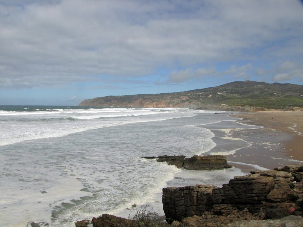 [IMG_1241.jpg]
