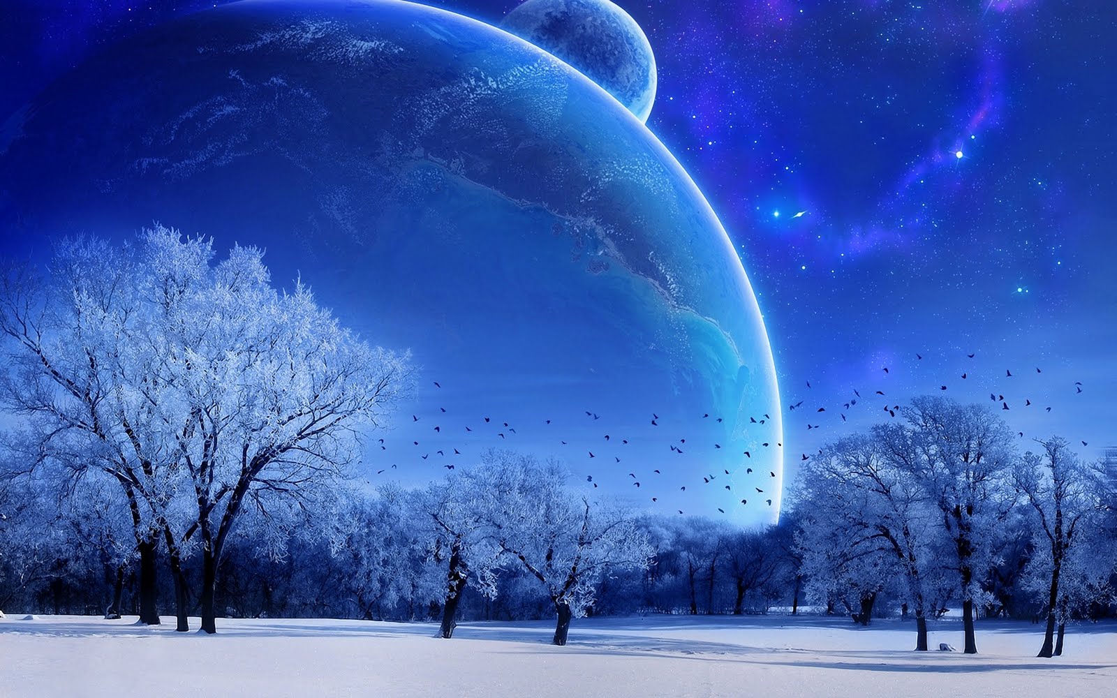 http://4.bp.blogspot.com/_6FB9O7X8ZZc/TPkMCavfclI/AAAAAAAAAP8/ibZ2uB639IY/s1600/Christmas_Wallpaper_Magical_Winter.jpg