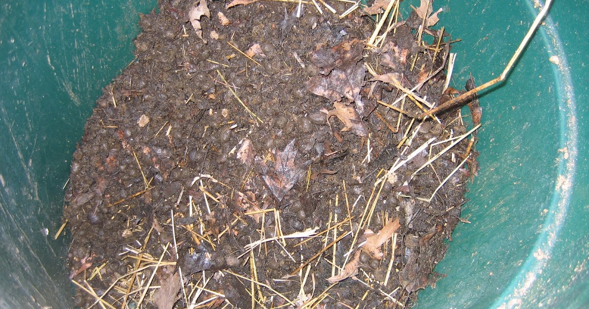 Coon Hollow Farm Free to a Good Home...Alpaca Manure!!!