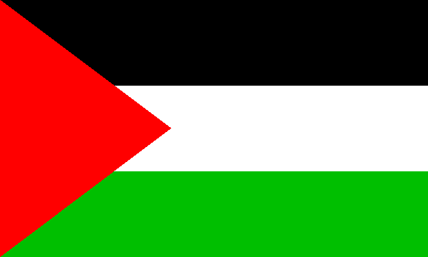 bandera de palestina