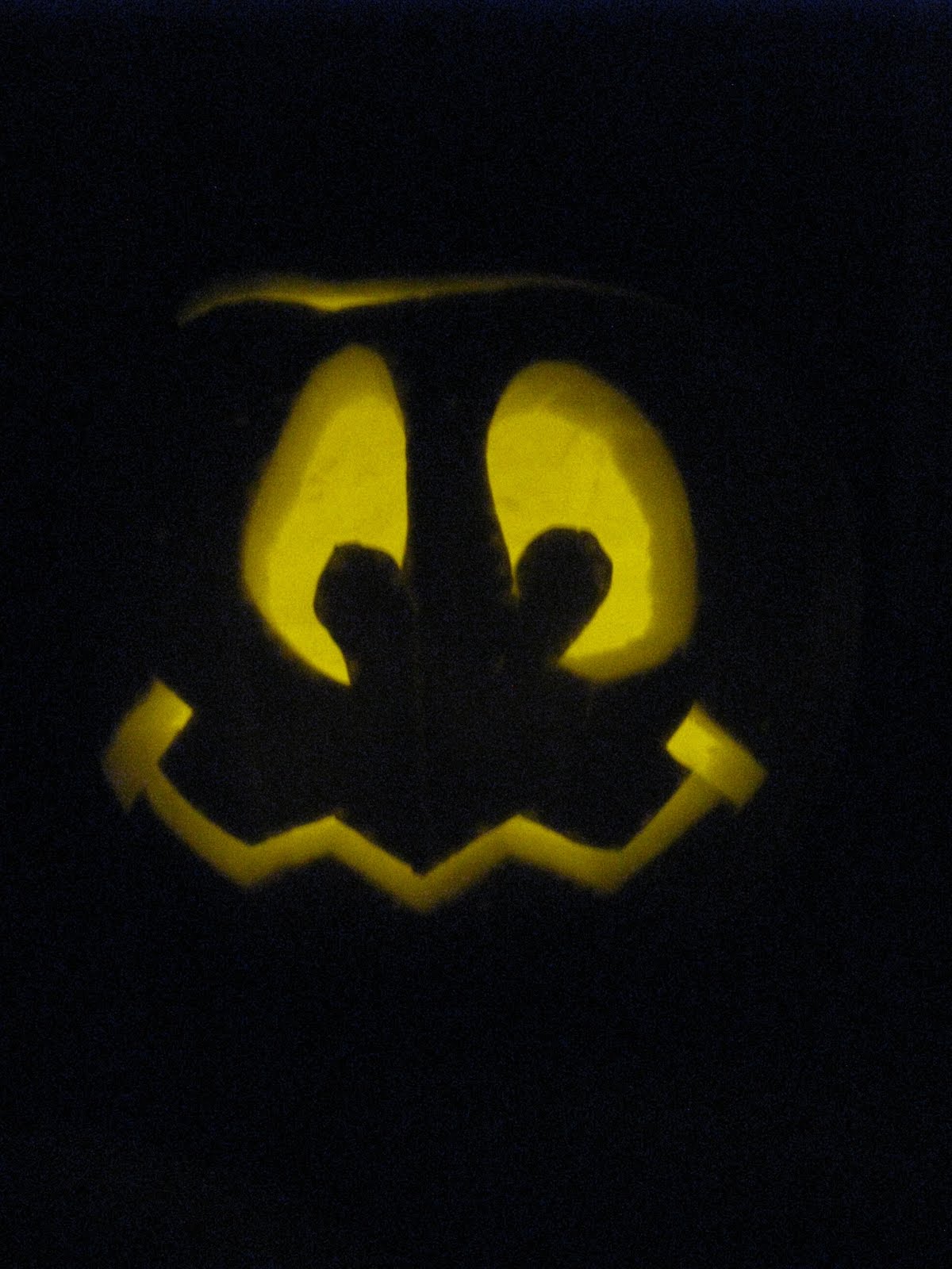 [IMG_7456.JPG]