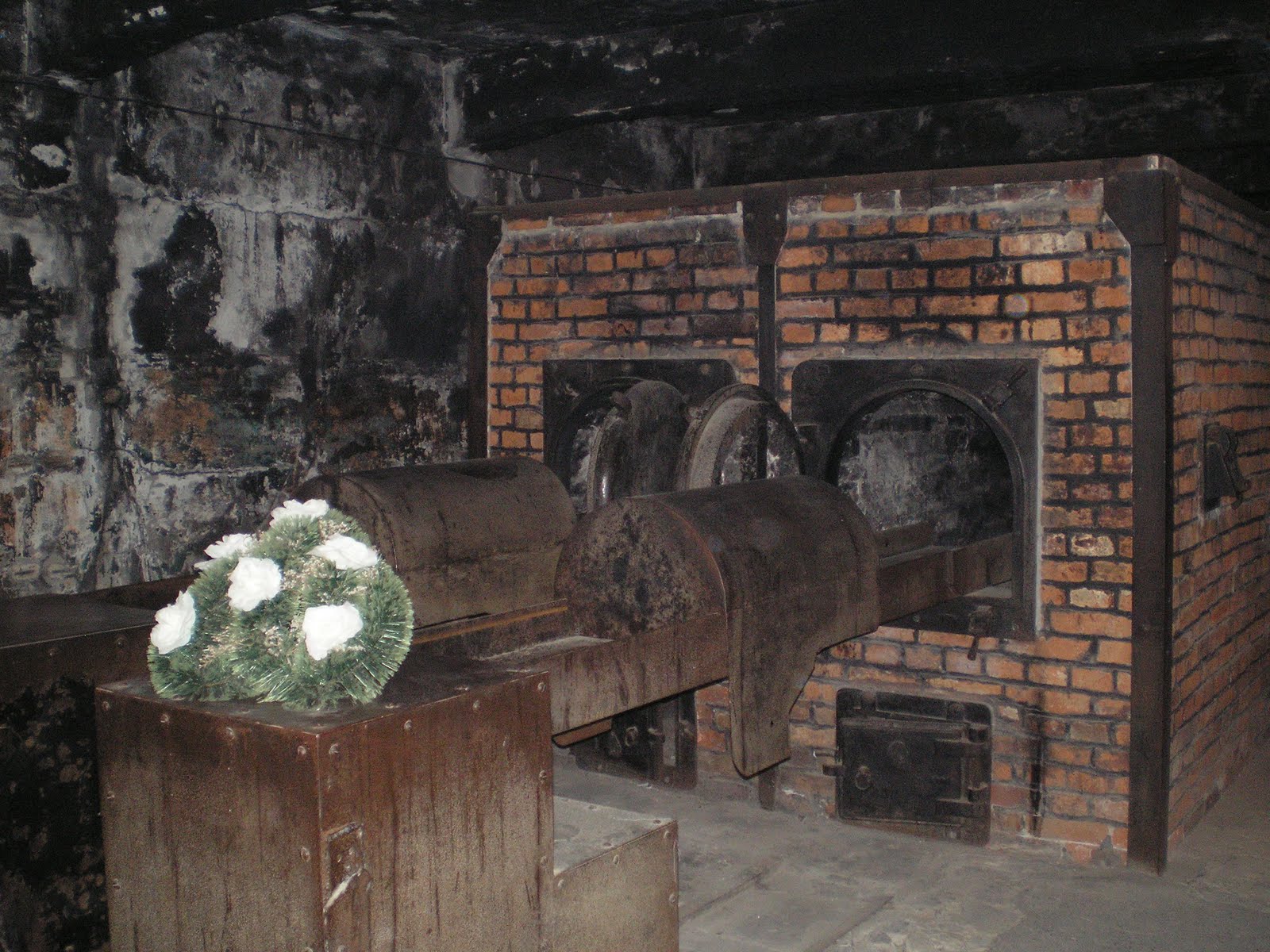 [P4020097.JPG]