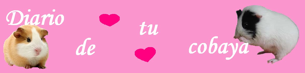 DiaRio De Tu CoBaYa