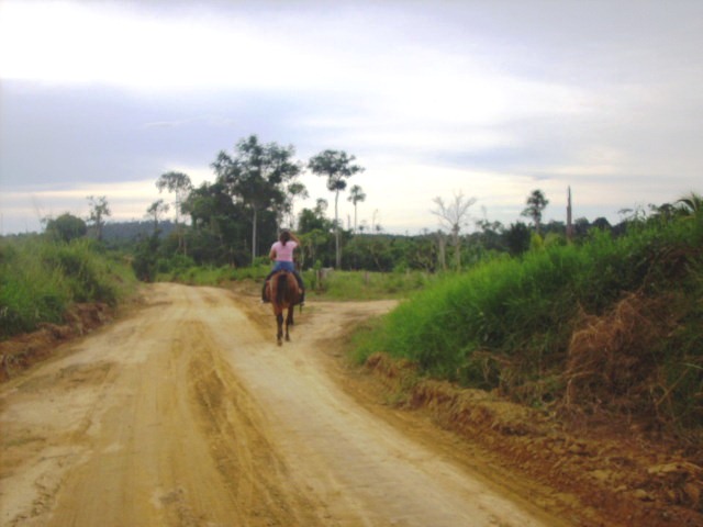 [IMG_0018.JPG]