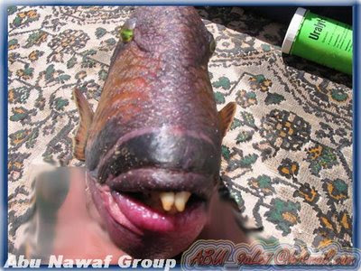 Fish With Human Like Lips and Teeth Ikan+Mulut+Manusia+%281%29