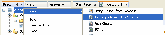 [NetBeansJSF01.gif]