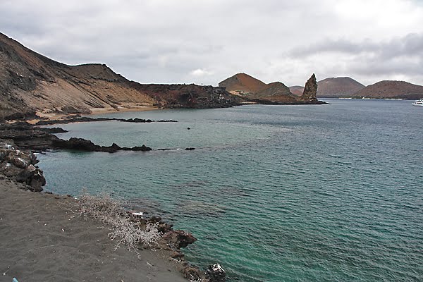 [GI_2009_BT_low-prock.jpg]
