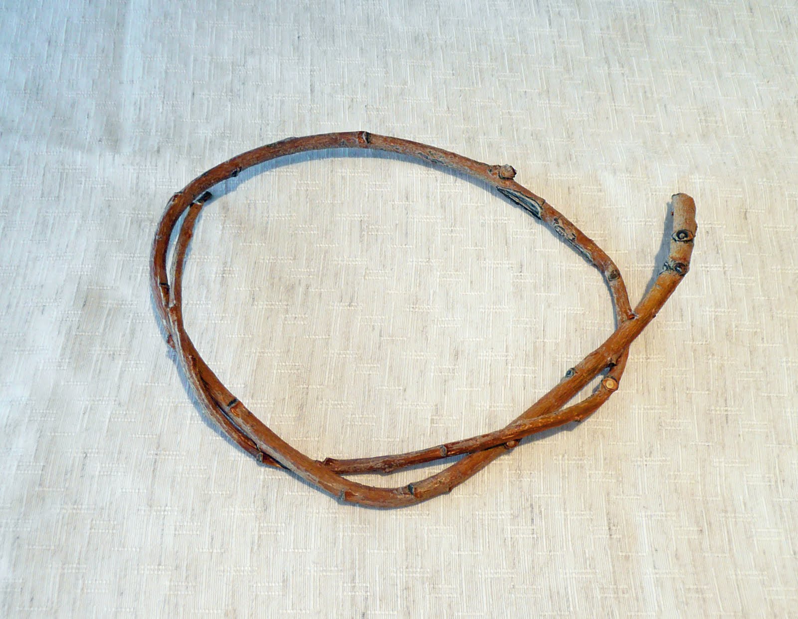 [P1060278_edited-1.jpg]