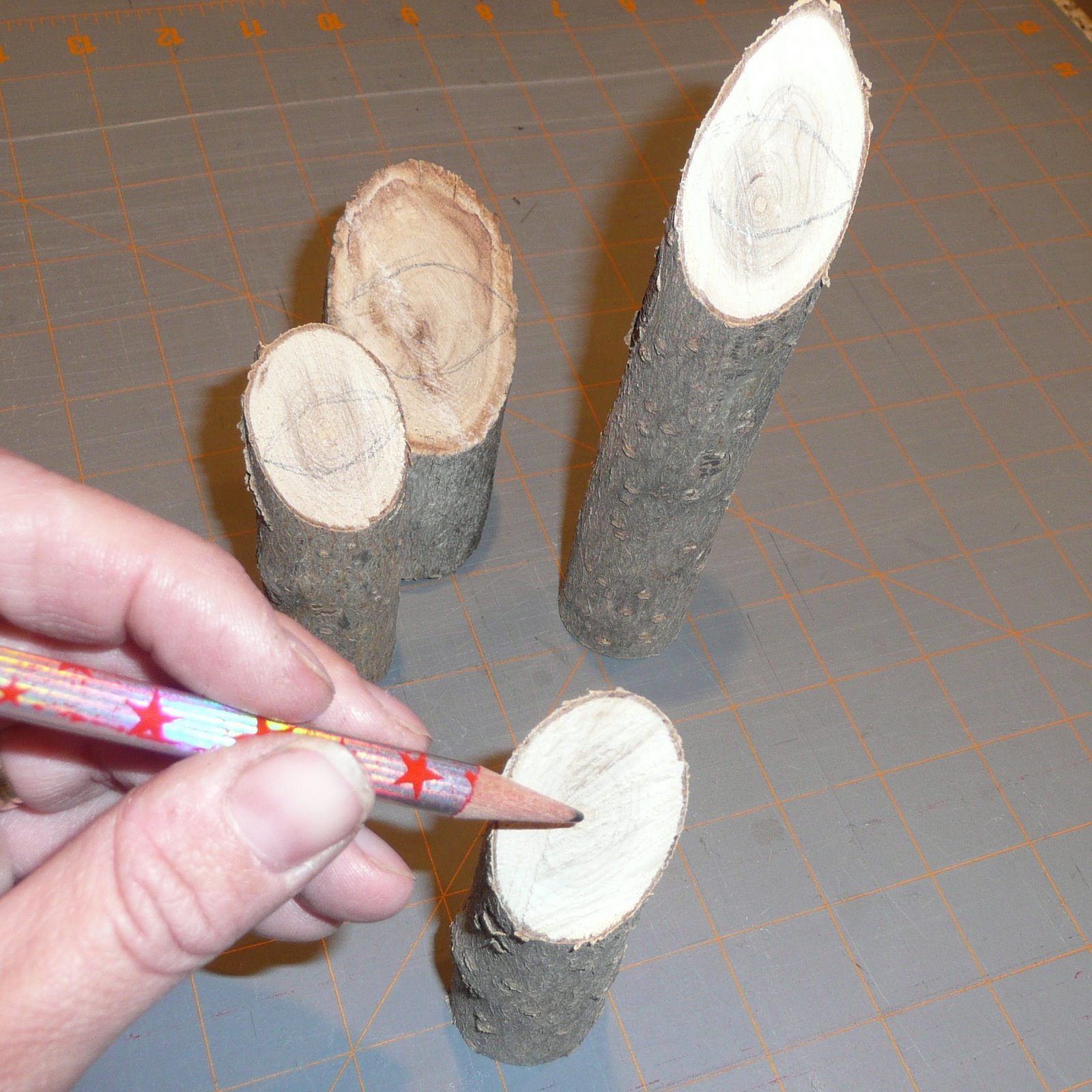 [P1010677.JPG]