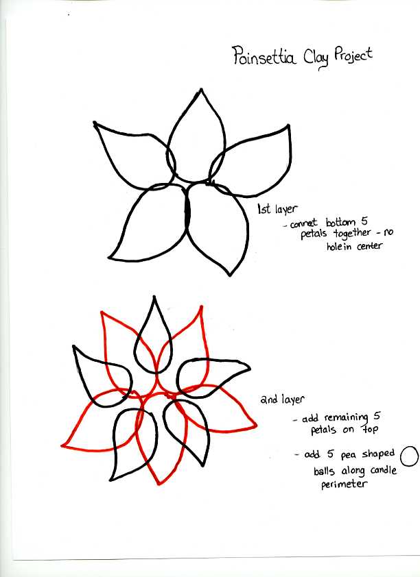 [poinsettia2bartelDec09217.jpg]