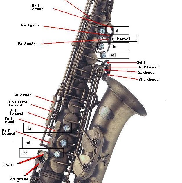 TOCANDO SAXO ALTO FUNCIONAMIENTO DEL INSTRUMENTO Y PRODUCCION DEL SONIDO