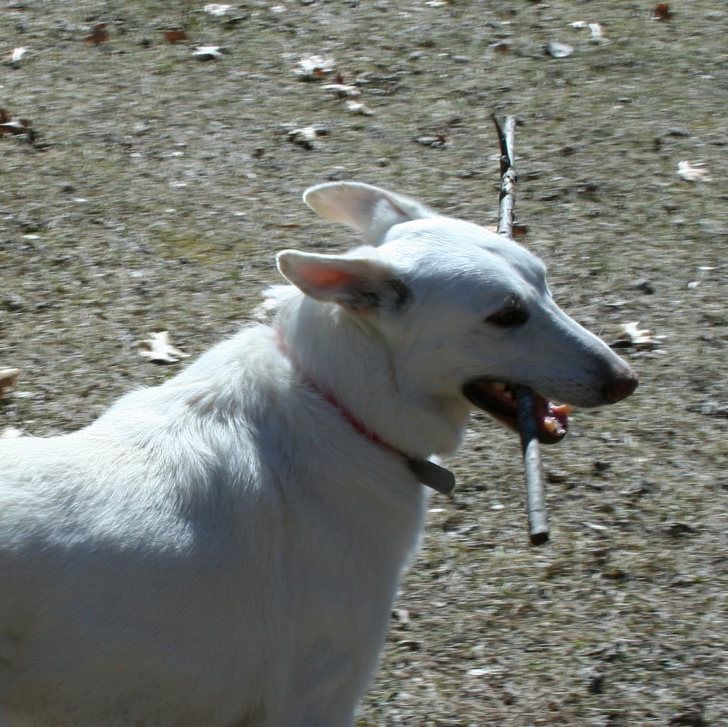 [IMG_2458.JPG]
