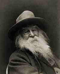Whitman or Ross? Picture of Walt Whitman