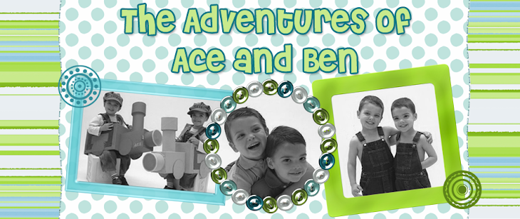 The Adventures of Ace and Ben