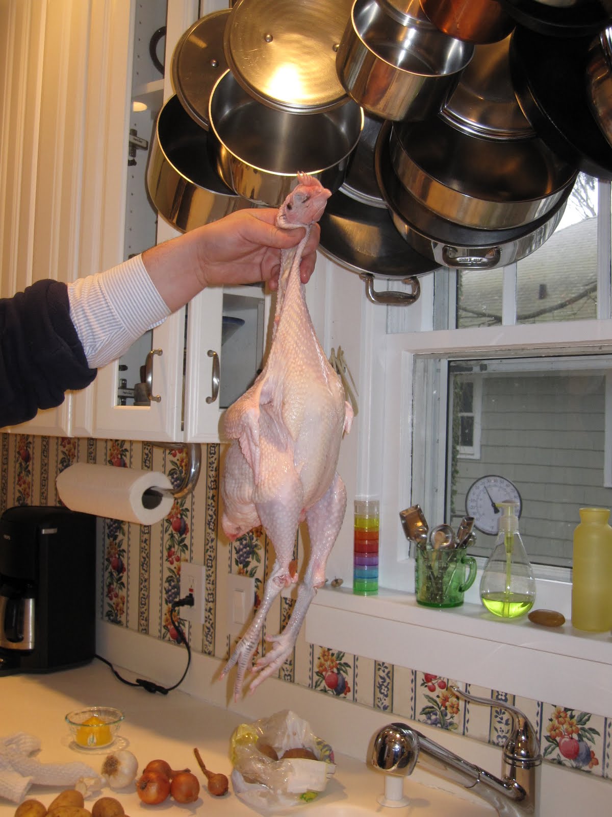 [Chicken.JPG]