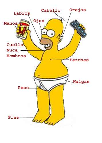 Memes Simpson Simpsons Characters Homer YouTube