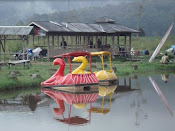 Danau Perahu Angsa