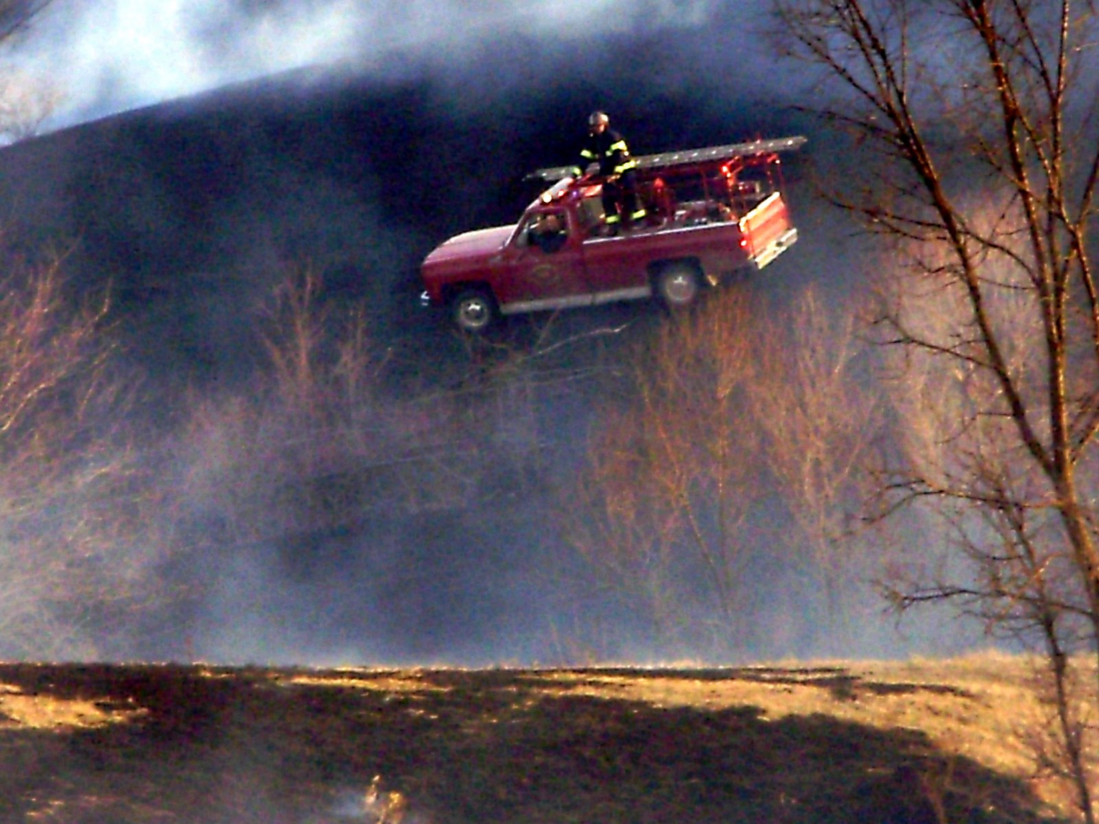 [P3040039-781772.JPG]