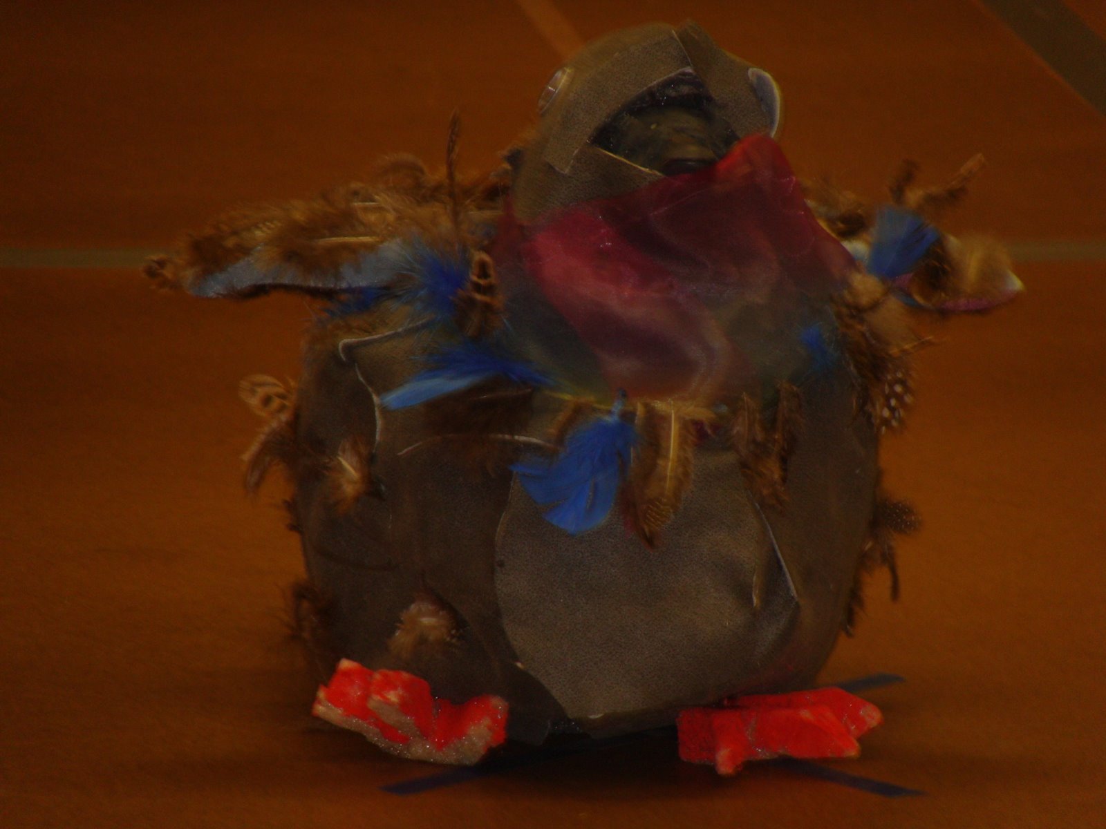 [DSC00384-785555.JPG]