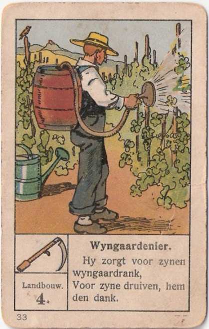 wijngaardier