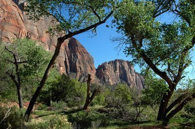rugged mountain cliffs march off to the south along the Virgin River