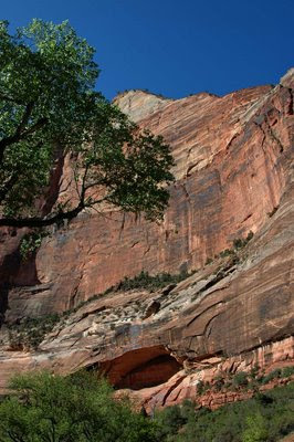 we hiked up to Weeping Rock, which gets its name from water seeping out near the base of this mountain