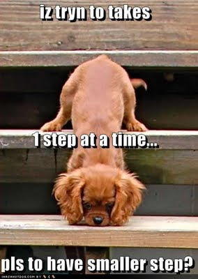 stair climbing - the hard way