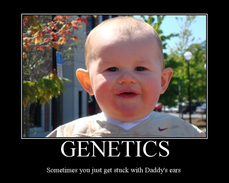 [motivator1613961.jpg]