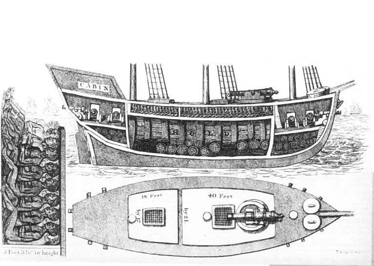 [slave-ship-3.jpg]