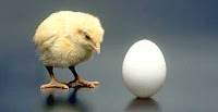 The Chicken or the Egg?