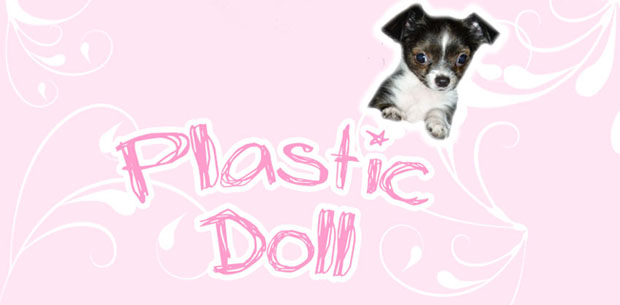 Plastic Doll