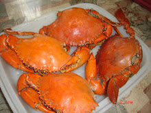 philippines crab