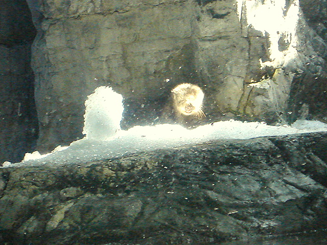 [DSC01495.JPG]