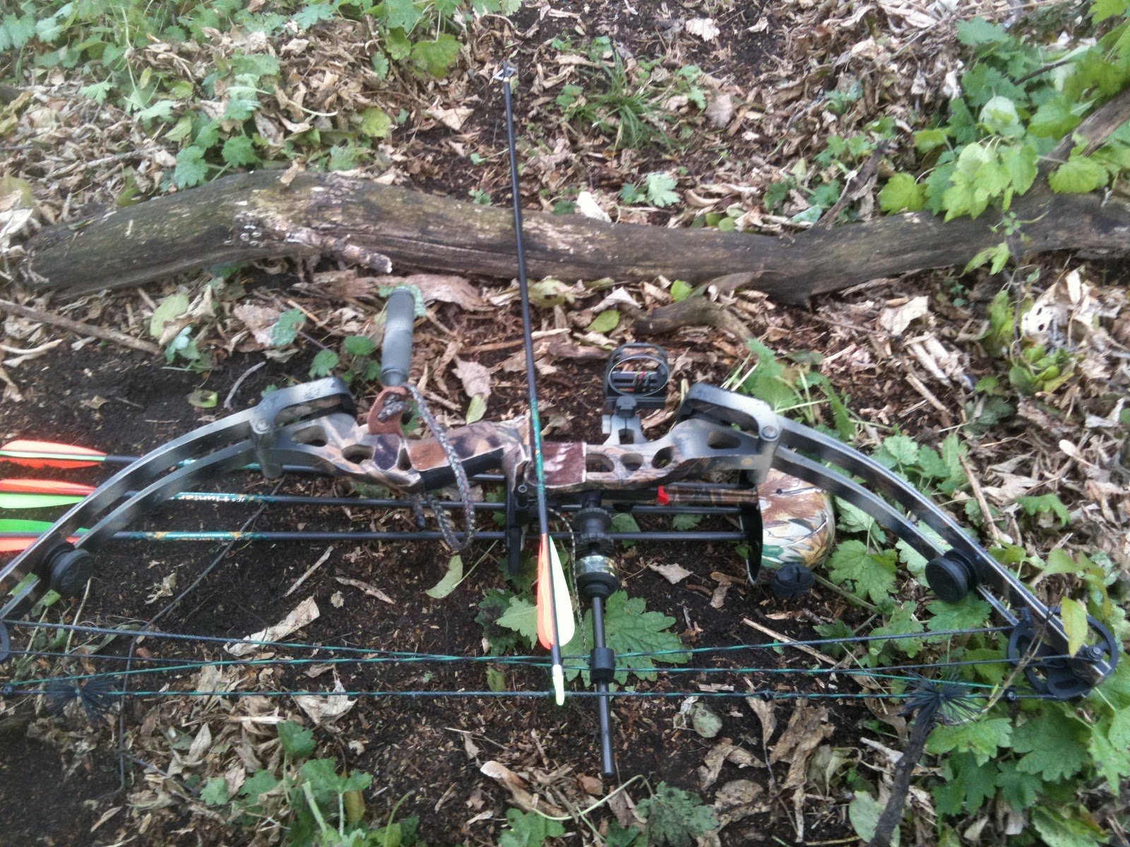 Hoyt Havoc