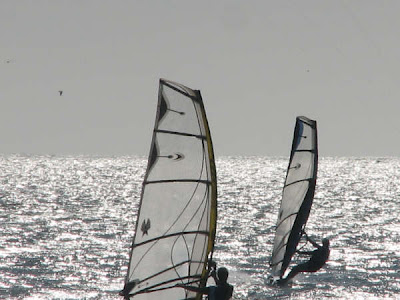 windsurf sinaloa
