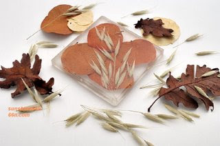 Ceramic Gives Vitality Of The House Ceramic Gives Vitality Of The House