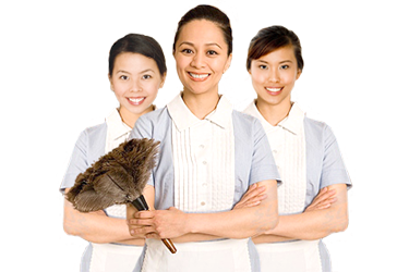 EMPRESA DE SERVICIO DOMESTICO empresa de servicio domestico: