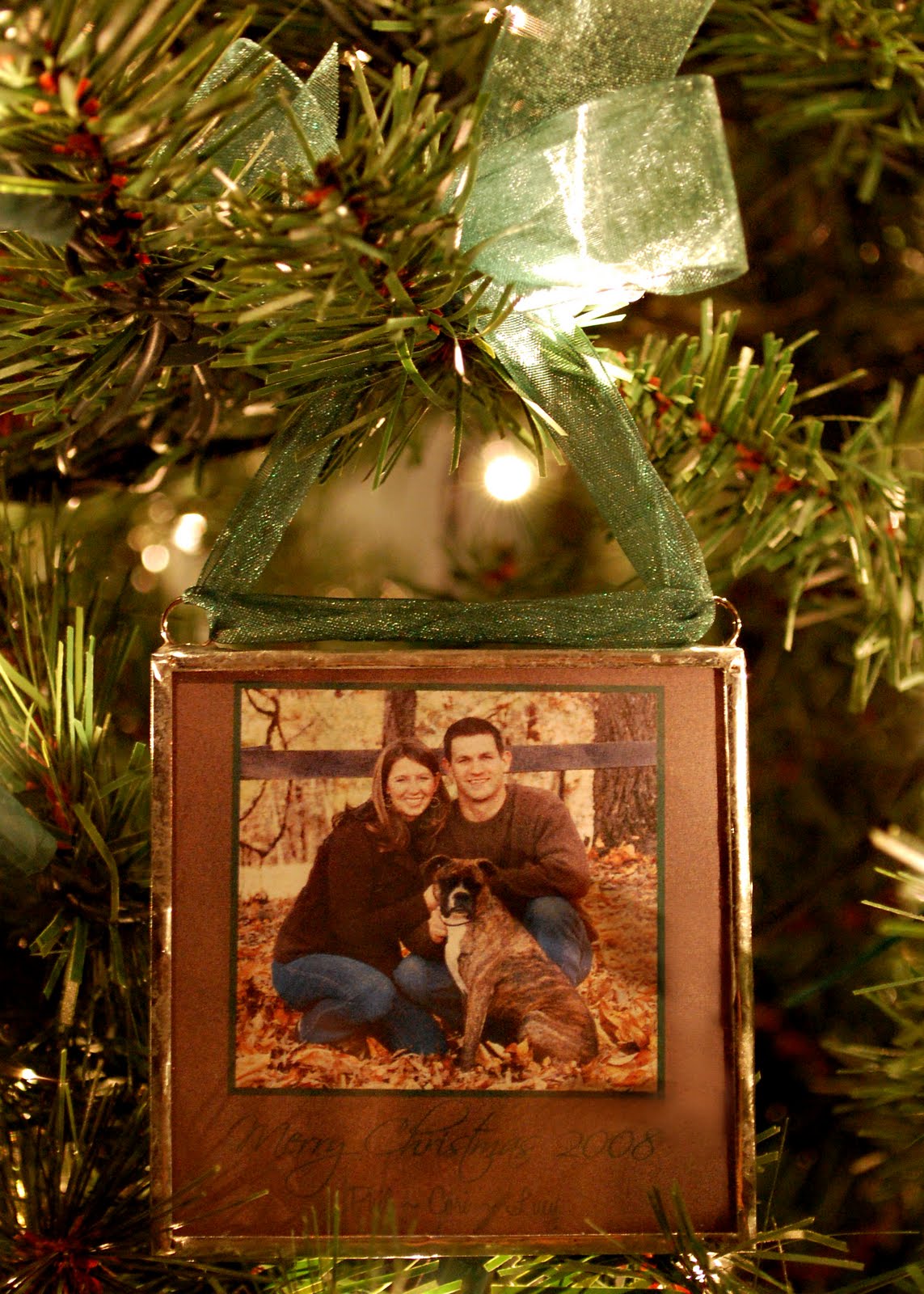 Livin and Lovin Photography Last year's Christmas card = next year's ornament!