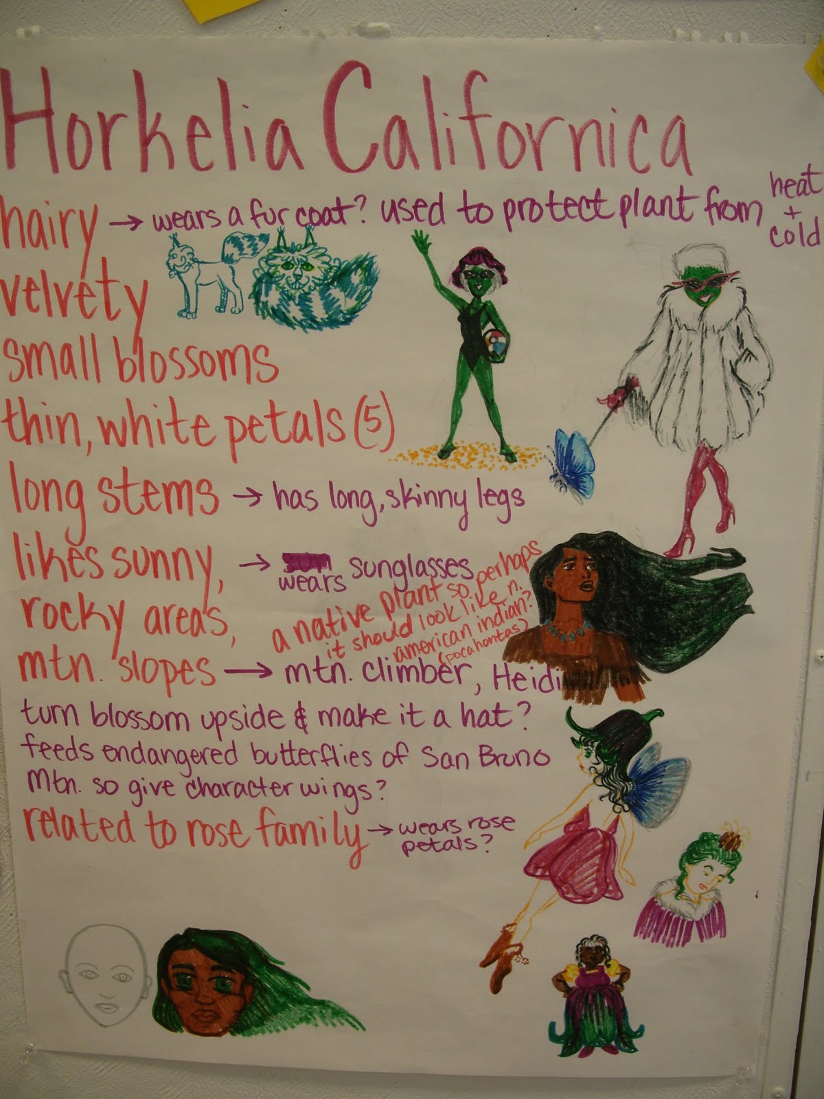 The drawing unit includes two