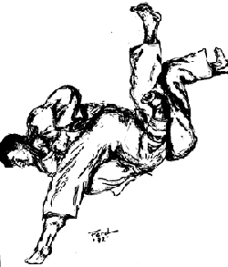 [judo.gif]