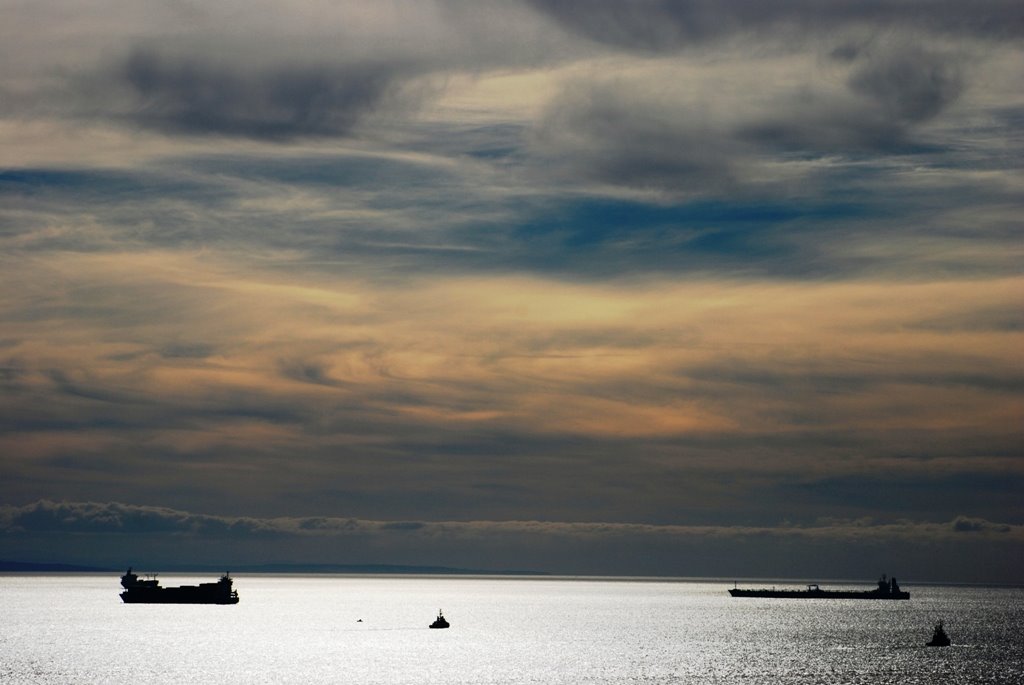 [DSC_0967.JPG]
