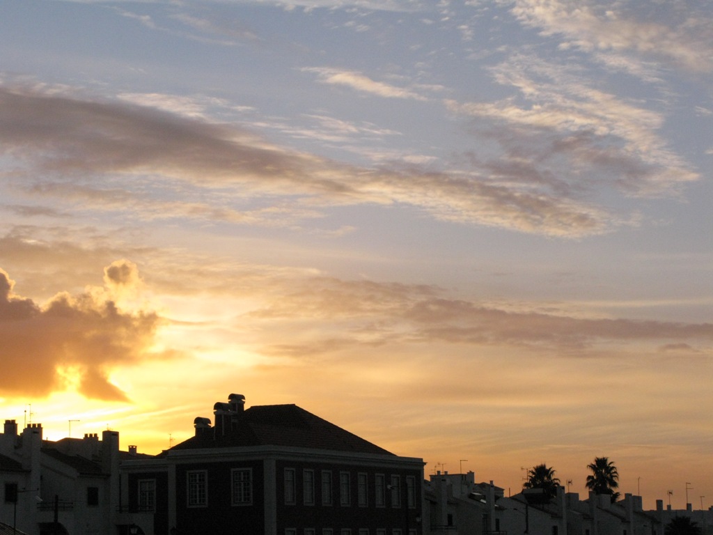 [IMG_3025.jpg]