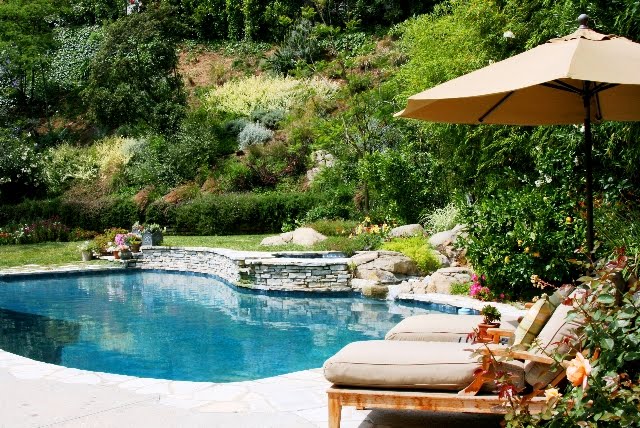 Linda Grasso of Shesez's California backyard pool 