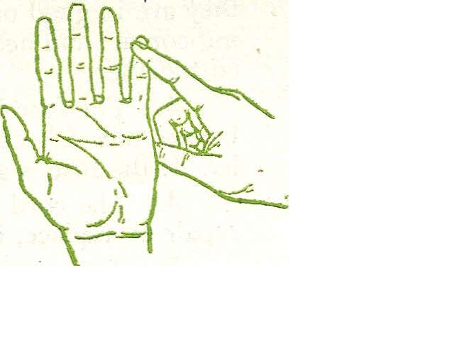 [hands.JPG]