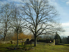 Terrasse avec vue sur le Causse