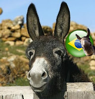 Piadas, Imagens Engraçadas, Inutilidade, Textos Engraçados, Diversão,