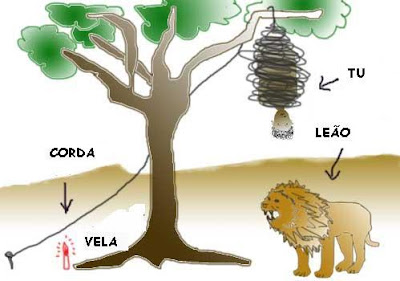 leao, cantar parabens, pendurado